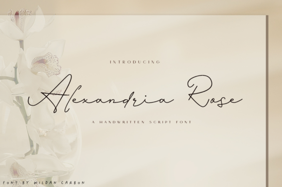 Alexandria Rose: The Elegant Script Font for Campaigns