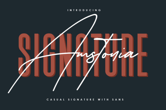 Amstonia Signature: A Designer’s Honest Review
