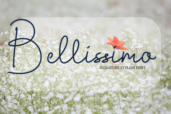 Bellissimo: An Elegant Script Font for Editorial Design