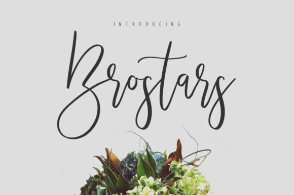 Brostars: A Versatile Duo Font for Web Design