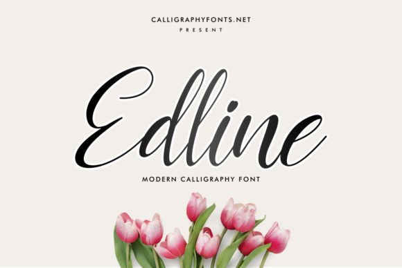 Edline: The Elegant Script Font for Digital Brands