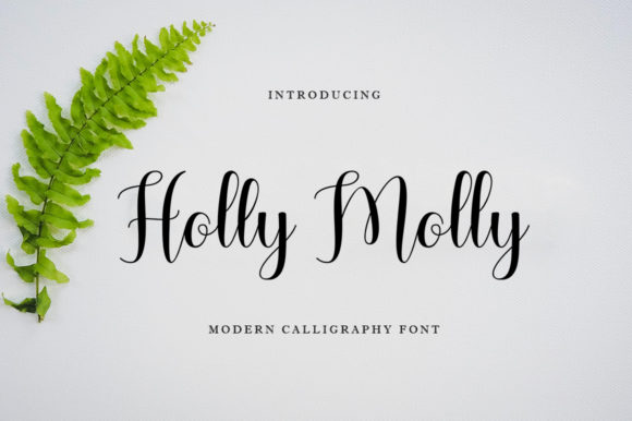 Holly Molly: A Modern Script Font for Web Design