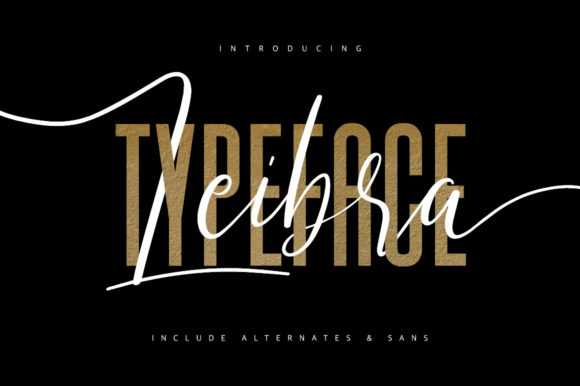 Leibra: A Modern Script Font for Branding