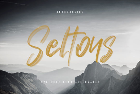 Seltons: A Stylish Brushed Script Font for Makers
