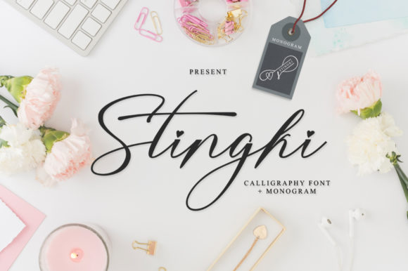 Stingki: The Elegant Script Font for Modern Brands