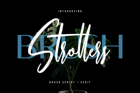 Strollers: A Premium Duo Font for Business Branding