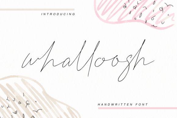 Whalloosh: The Delicate Script Font for Modern Brands